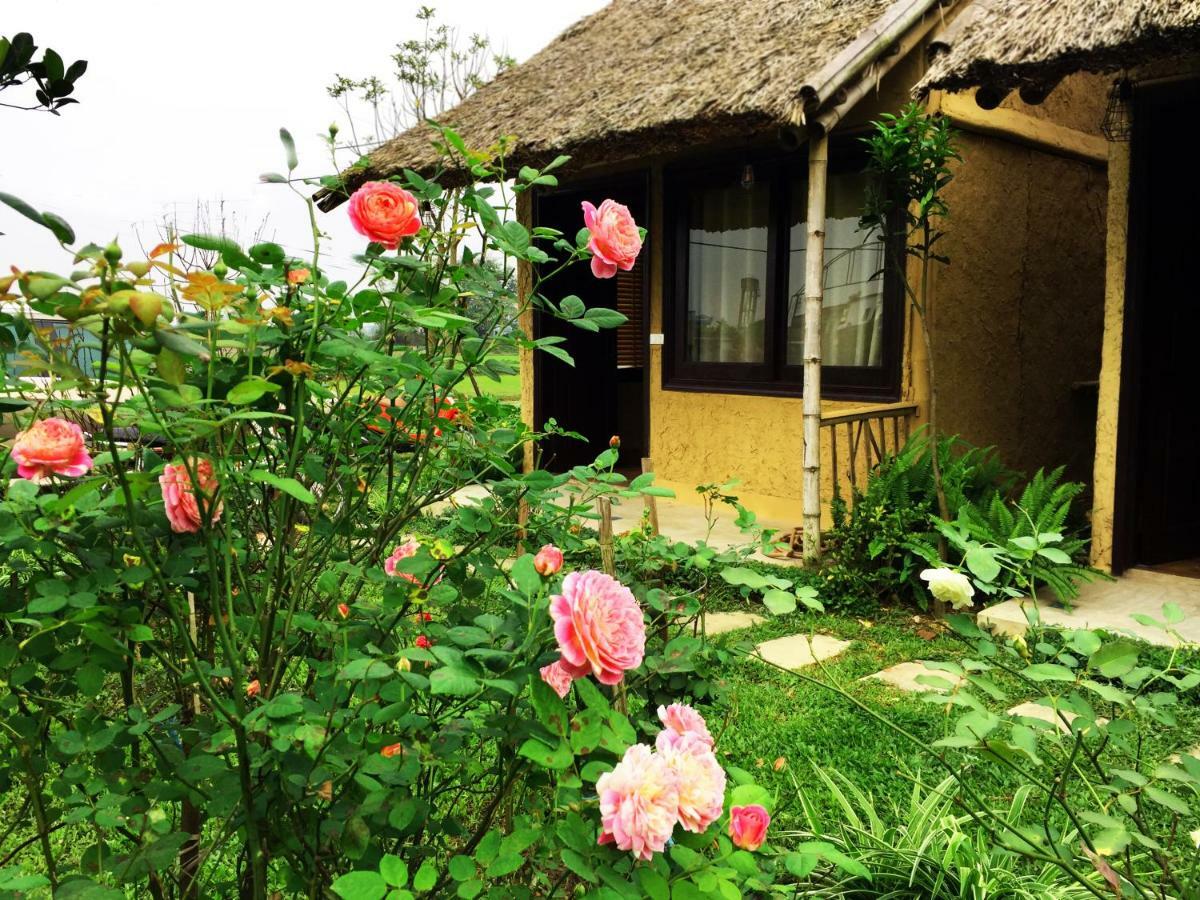 May Homestay - Tam Coc Local Village Ninh Bình Ngoại thất bức ảnh