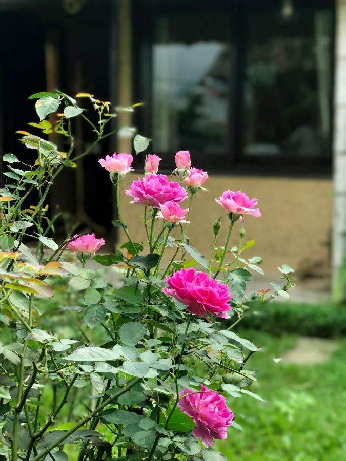May Homestay - Tam Coc Local Village Ninh Bình Ngoại thất bức ảnh