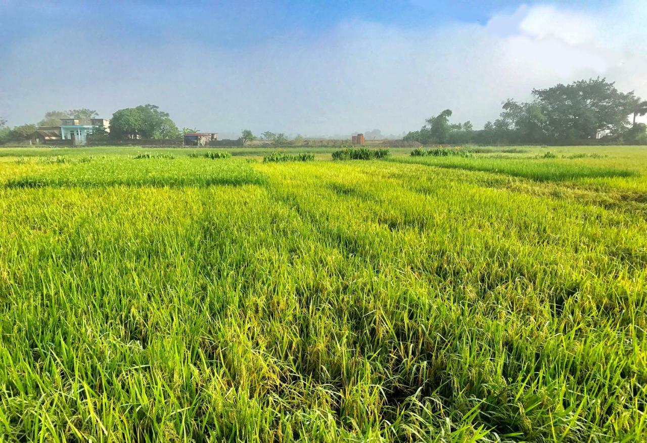 May Homestay - Tam Coc Local Village Ninh Bình Ngoại thất bức ảnh