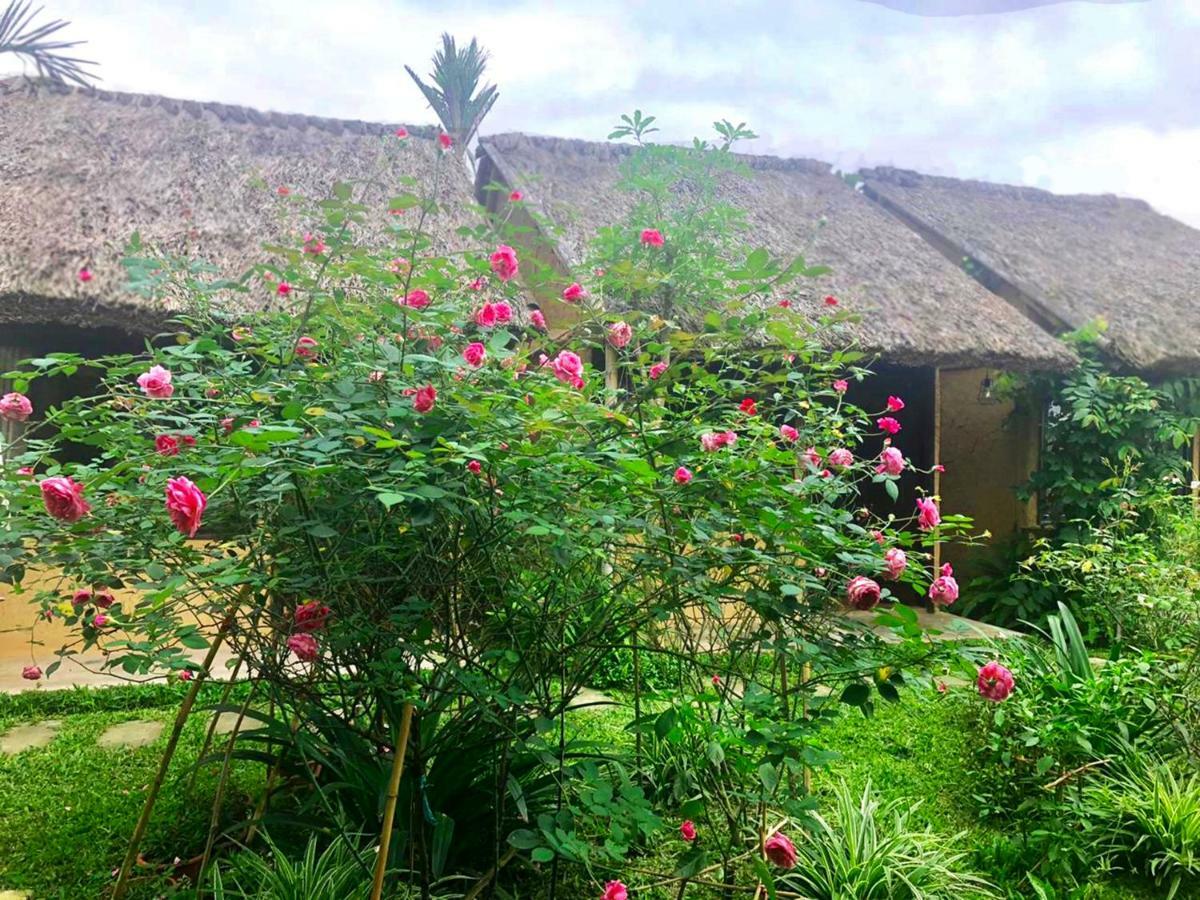 May Homestay - Tam Coc Local Village Ninh Bình Ngoại thất bức ảnh